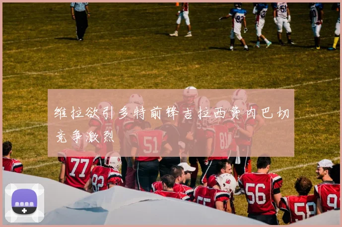 维拉欲引多特前锋吉拉西费内巴切竞争激烈